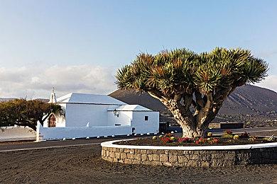 原封《塞尔达传说》卡带持有者险些以低价卖出